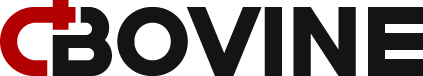 dBOVINE